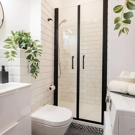 Daisy Stary Mokotow Warschau